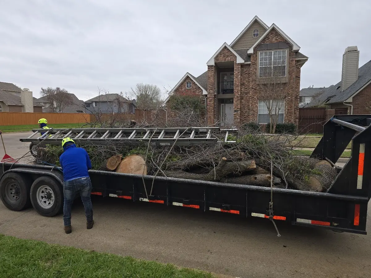 Expert Tree Fertilization with proper safety equipment in Saint Marys